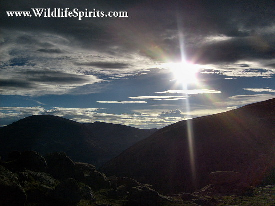Click Picture to send as an  E-PostCard 62k 550x412